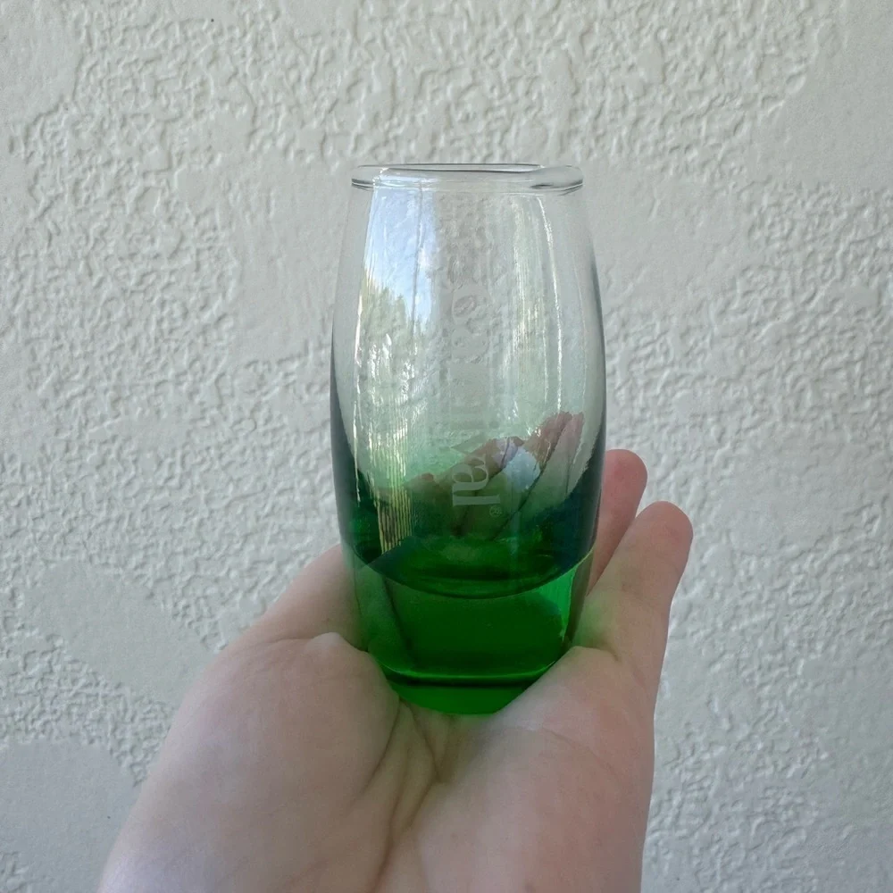 Carnival Cruise Green Ombre 5oz Shot Glass Souvenir Barware OS